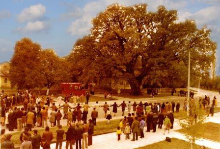 10431088107210851080109010891082108011031090_107610981073_108511031082108610751072_1_448 10431088107210851080109010891082108011031090_107610981073_108511031082108610751072_1_448