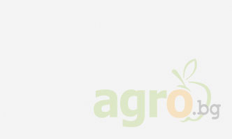 Започна ежегодното изложение за земеделие и техника БАТА АГРО 2024