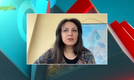 Овощари питат МЗм как ще бъдат компенсирани заради измръзванията на плодните дръвчета